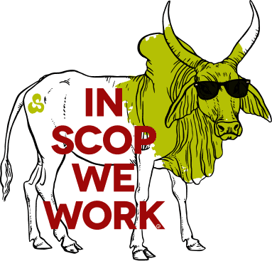 Logo Webu